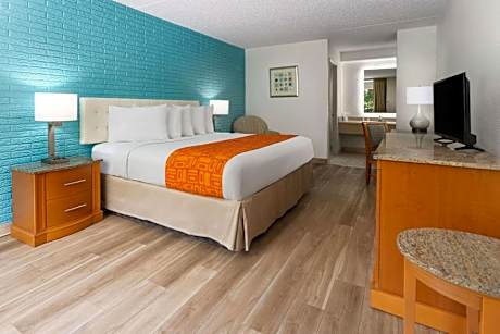 King Room - Non-Smoking