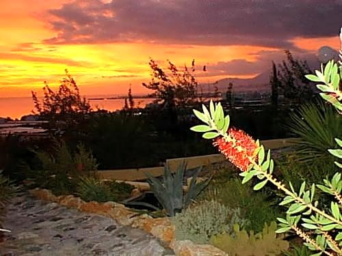 Arion Palace Hotel - Adults Only