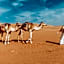 Sama al Wasil Desert Camp