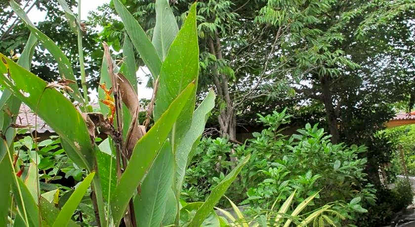 Q Zone Boutique Resort