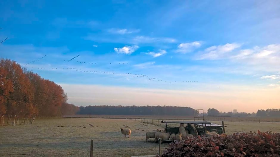 Boerderijkamer Korenbloem