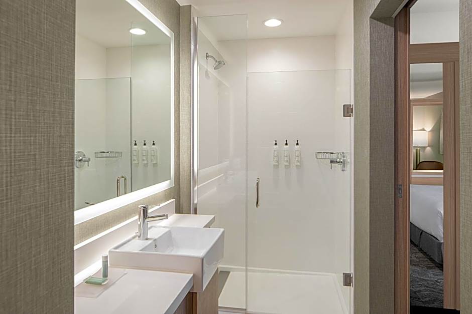 SpringHill Suites by Marriott Columbia near Fort Jackson