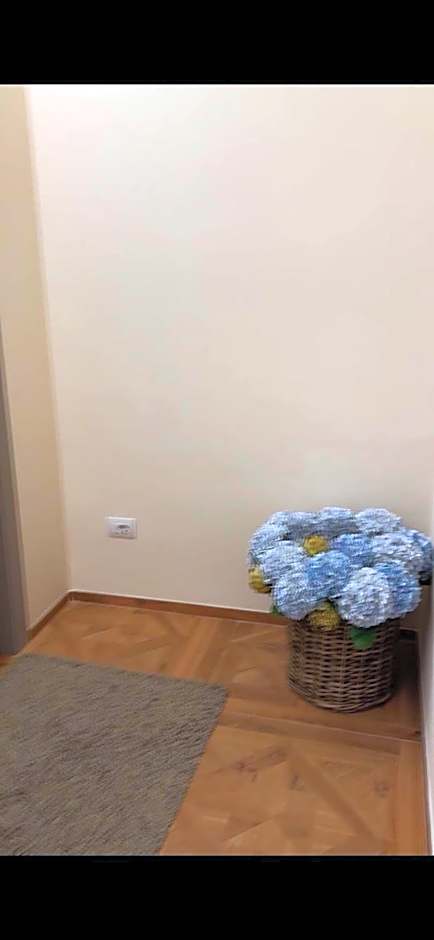 B&B Belvedere