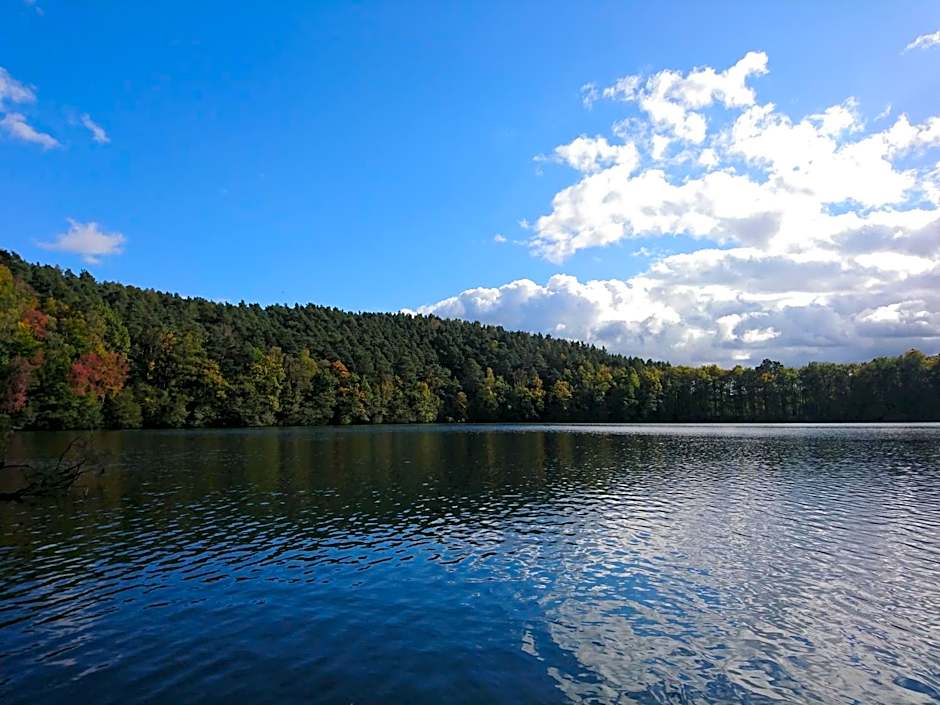 Waldsee Hotel am Wirchensee