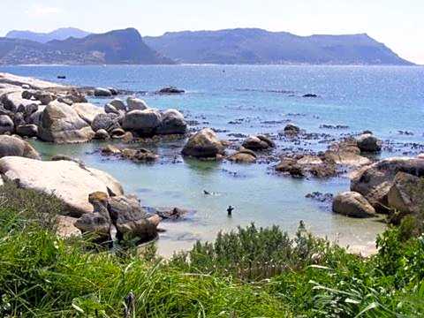Bosky Dell on Boulders Beach