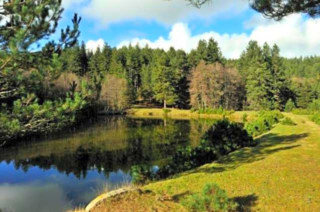 La Casa Di Chiaretta