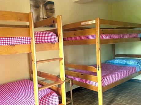 Bunk Bed in Mixed Dormitory Room