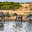 Lake Nakuru Lodge