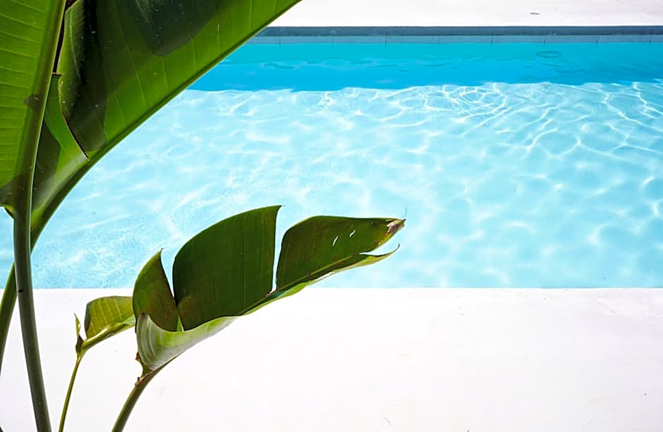 The Lakeside Prince Edward County