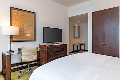 Room, 1 King Bed
