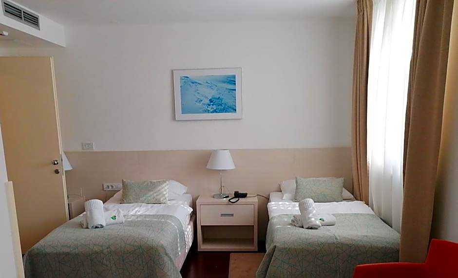 Hotel Borovnik