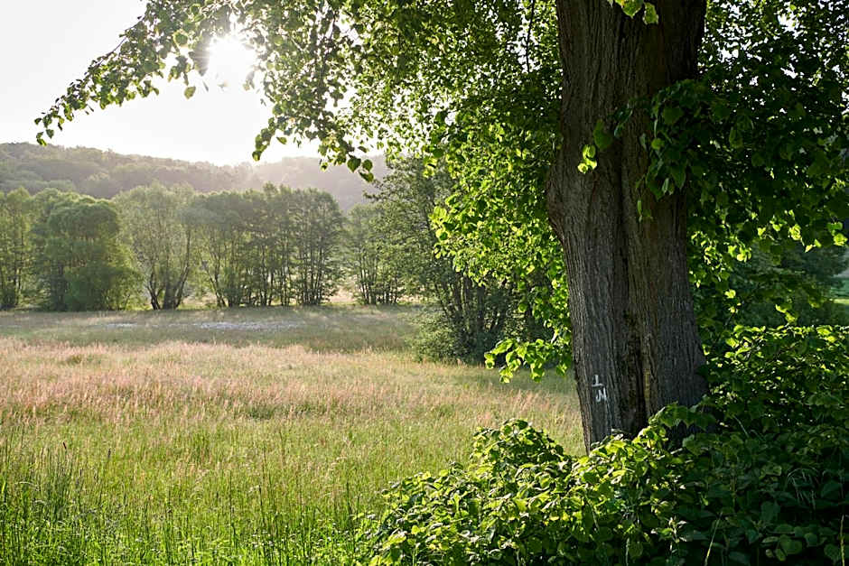 Hotel Der Grischäfer