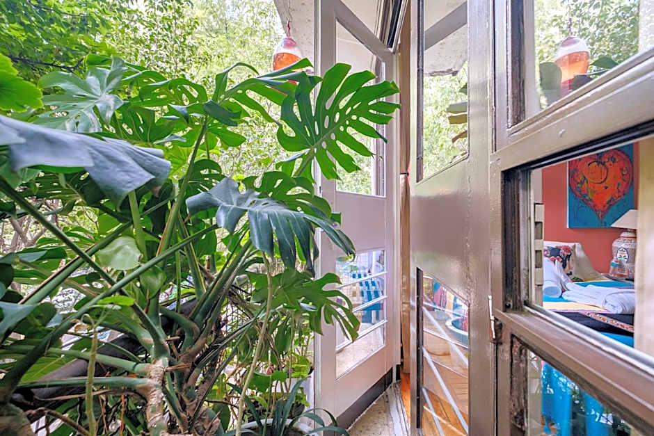 Casa Itzae B&B Polanquito Dog Friendly