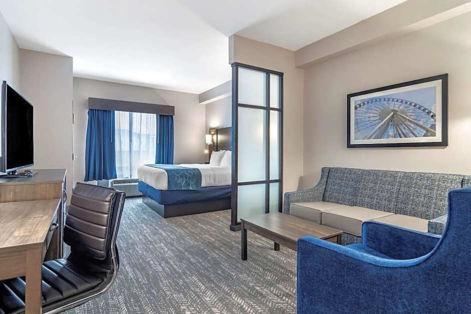 Comfort Suites McDonough Atlanta South