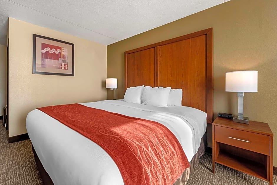 Comfort Inn & Suites Triadelphia