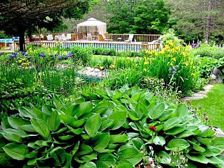 Horton Creek Inn B&B