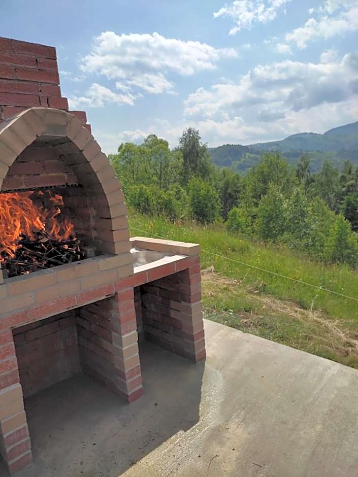 Cabana doi mesteceni