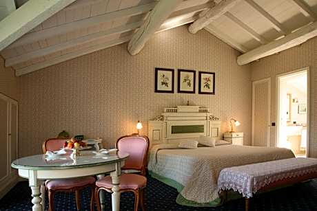 Superior Double or Twin Room with Lake View