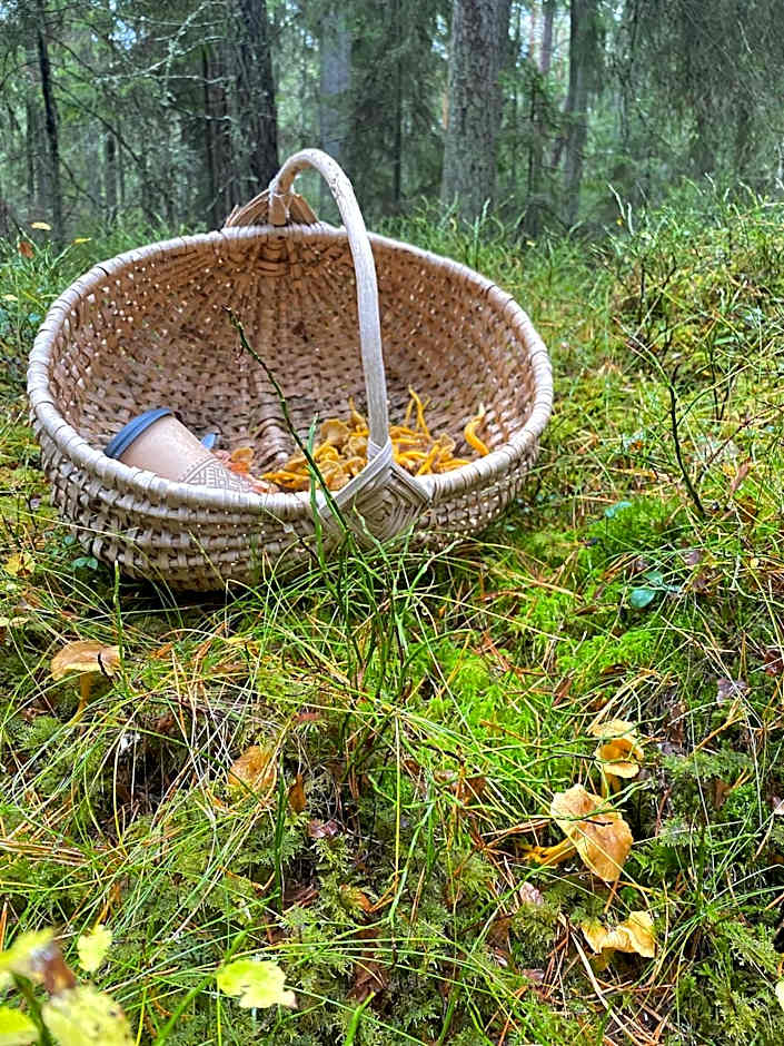 Vergi Sadam & Restoran Wirkes'