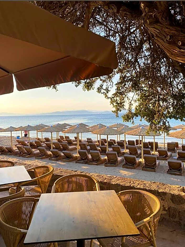 Blue Dolphin Aegina