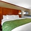 Comfort Suites West Monroe near Ike Hamilton Expo Center