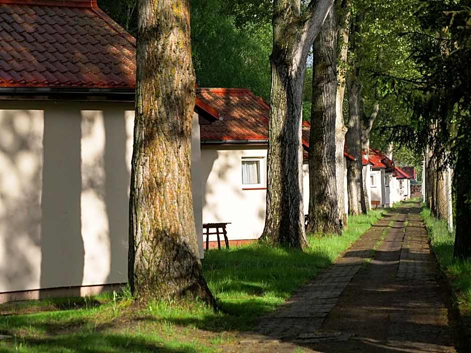 Półwysep Natura Tour