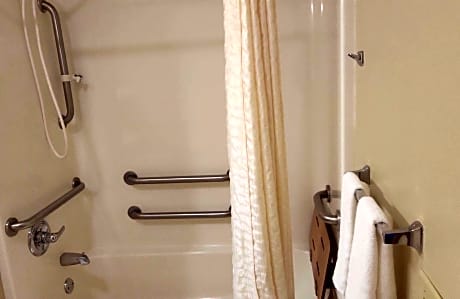 Accessible - 1 Queen, Mobility Accessible, Communication Assistance, Roll In Shower, Non-Smoking, Co
