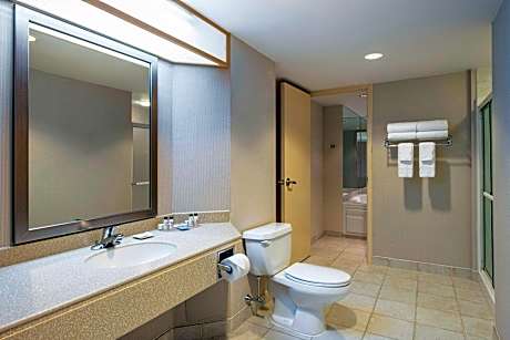 Suite, 1 King, Sofa bed, City view, Whirlpool