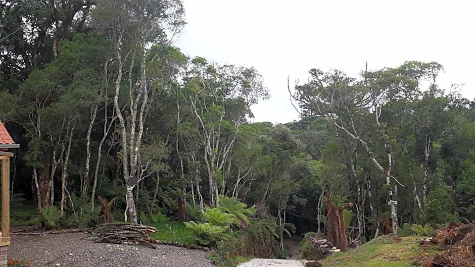 Morada do Xaxim - Chalé Hortência