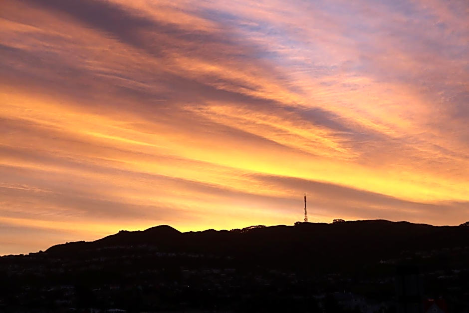 Best Western Wellington