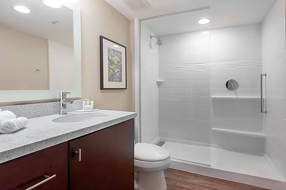 TownePlace Suites by Marriott Austin Parmer/Tech Ridge