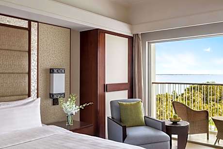 Deluxe Room  King