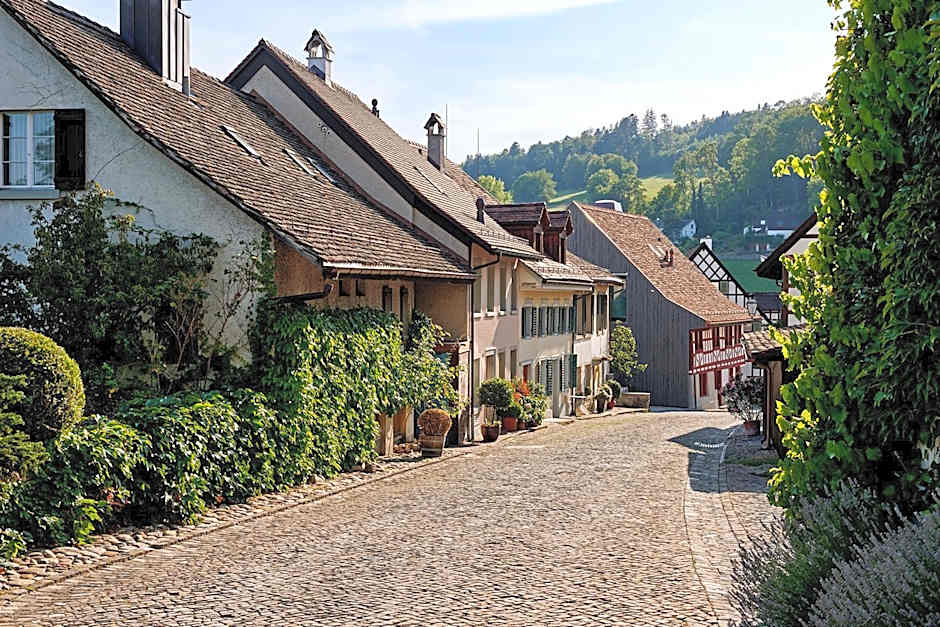 Hotel Krone Regensberg