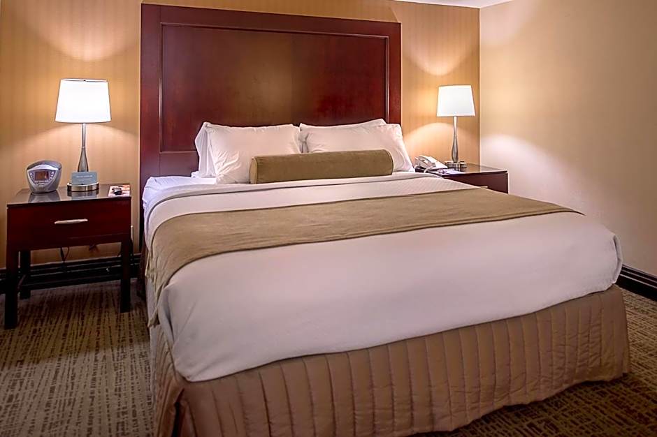 Crowne Plaza Hotel St. Louis Airport By IHG