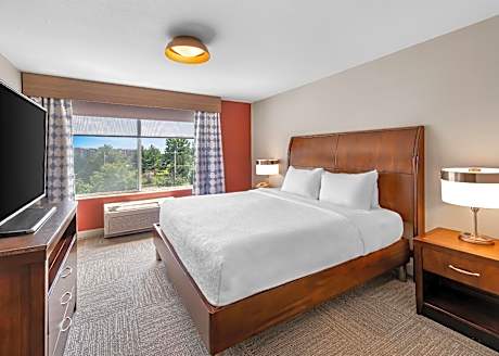 1 Kng Suite Mobility/Hearg Access Tub Sofabed