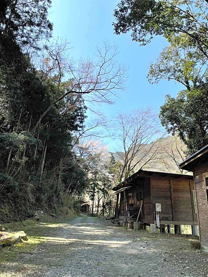 YAMAYA BASE 1