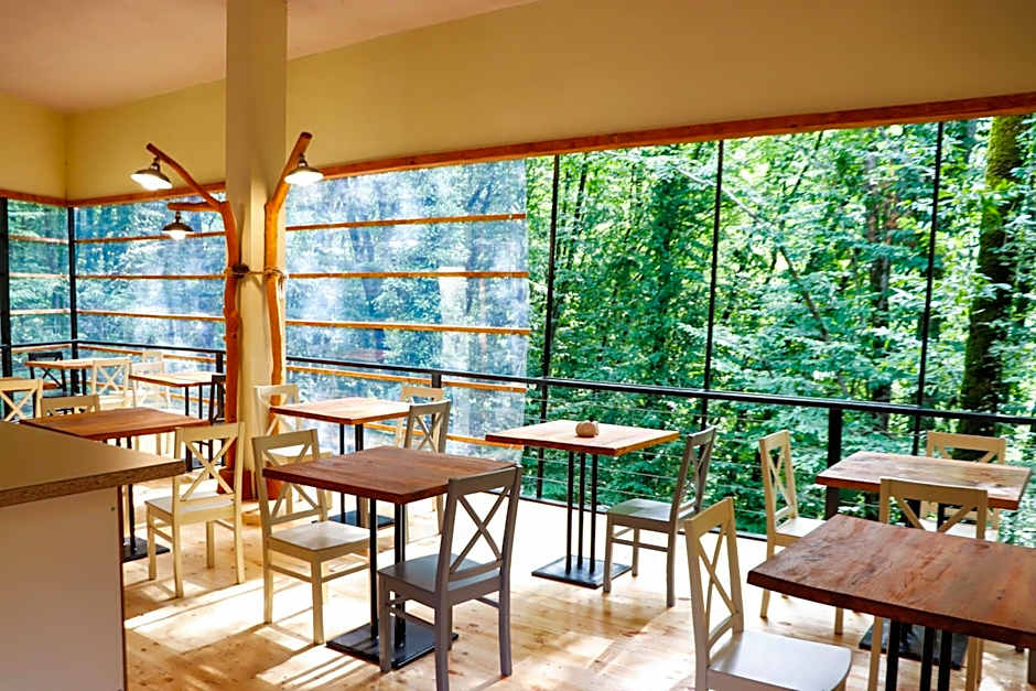 Eco Village In The Forest