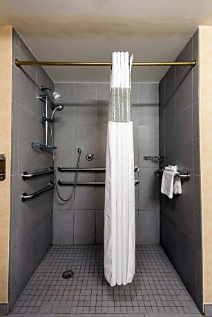 1 King Mobility Hearing Accessible Roll In Shower Non-Smoking Sofa Bed