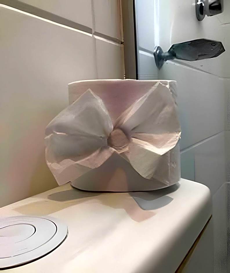 Brasília Studio - Tecnologia & Cia.