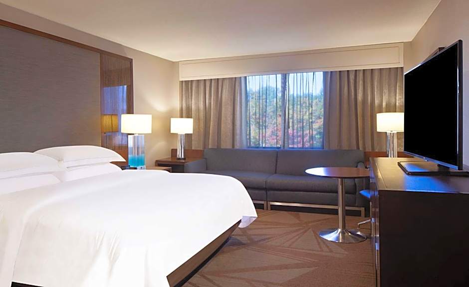 Photo 1 of 5 of Superior 1 King Bed