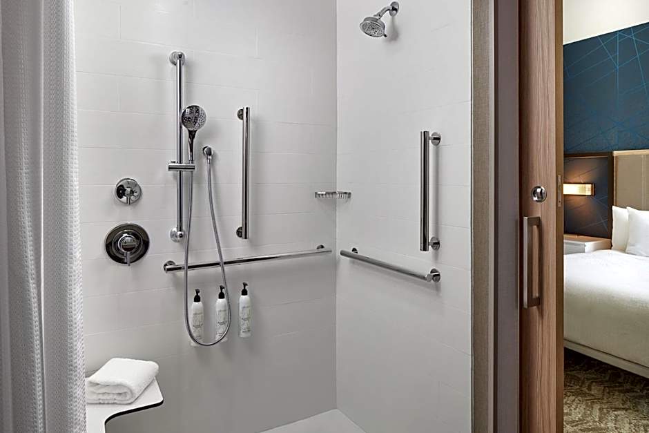 SpringHill Suites by Marriott Frederica