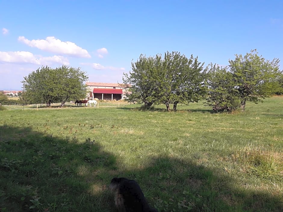 Ferme de la Combe - The Goldy's Farm