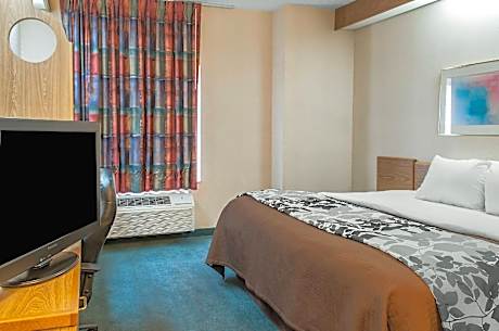 1 King Bed, Nonsmoking, Accessible