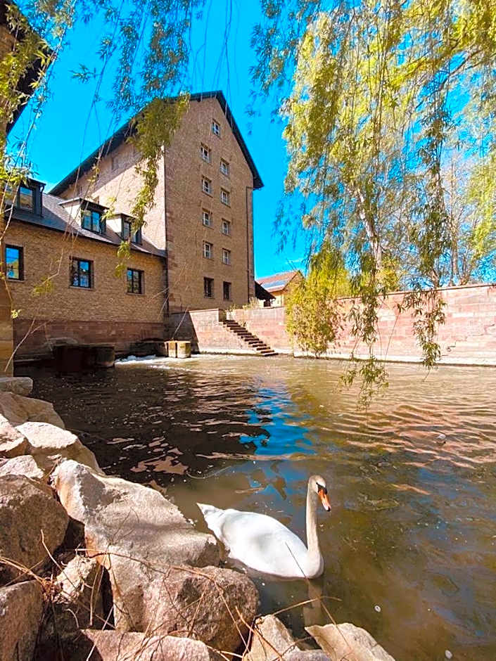 Le Moulin De La Wantzenau - Strasbourg Nord
