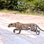 Elandela Private Game Reserve and Luxury Lodges Pty Ltd