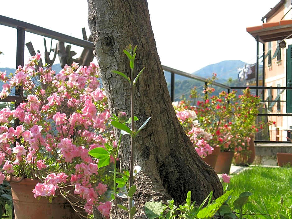 B&B I Glicini