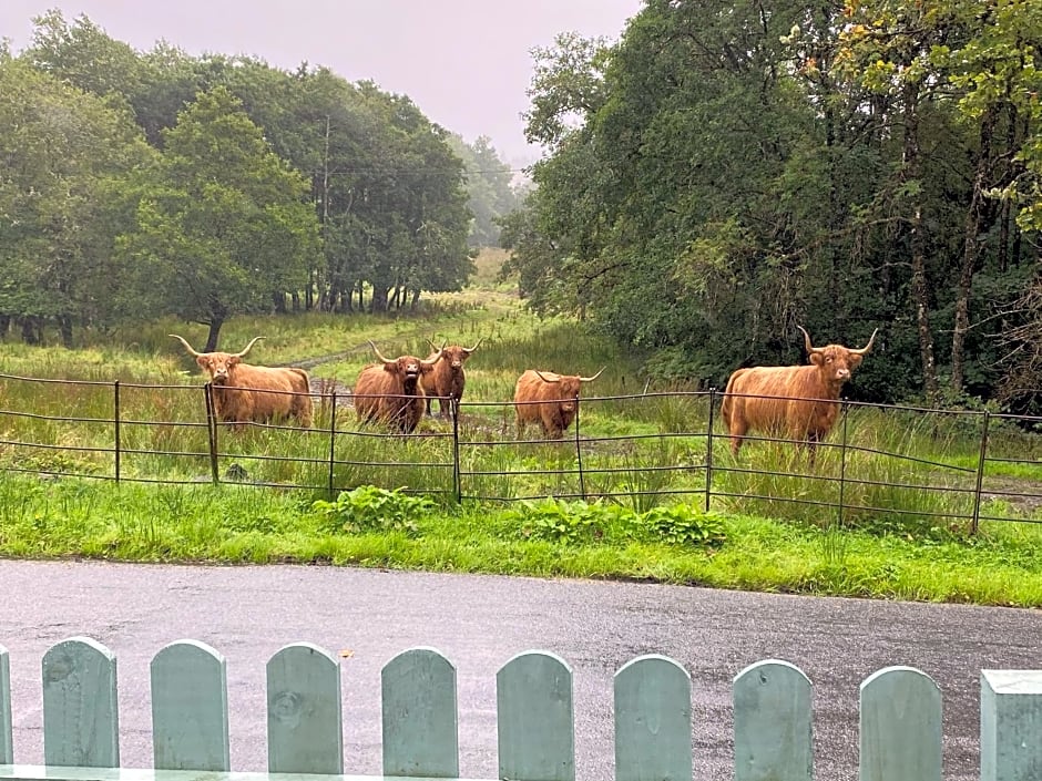 Cladich House Bed & Breakfast