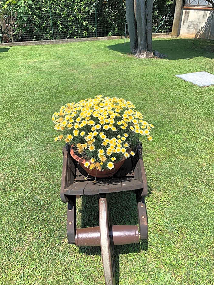 Aurelia Rta Detta il Cascinale