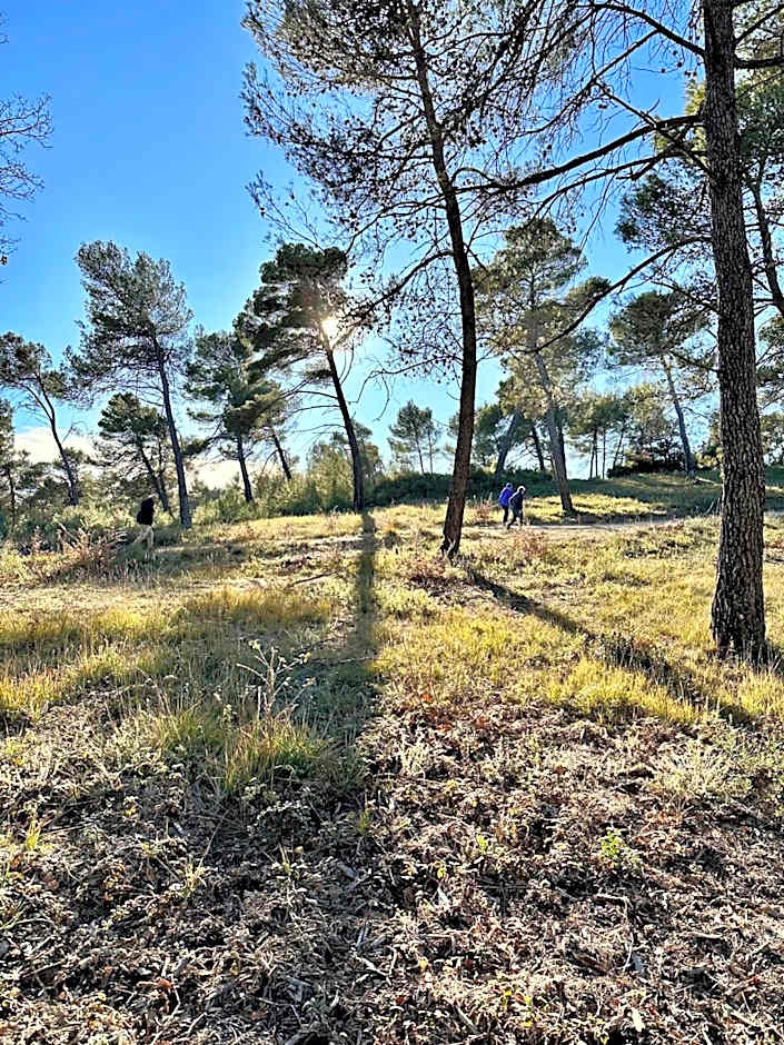 Domaine La Ferme HI bride