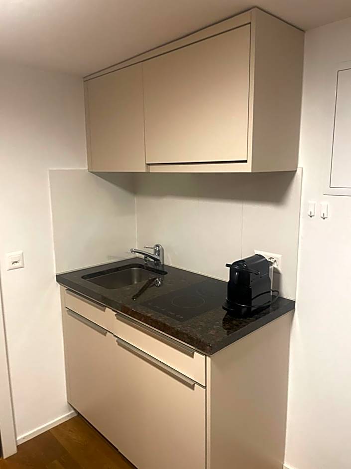 Aparthotel Splendid City Center